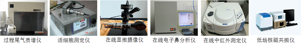 過程檢測(cè)與控制技術(shù)開發(fā)與應(yīng)用
